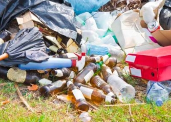 Începe curățenia de toamnă pe drumurile județene din Timiș