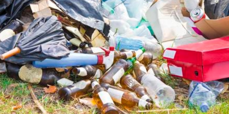 Începe curățenia de toamnă pe drumurile județene din Timiș