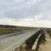 CNAIR a găsit firma care să facă cei 12 km de autostradă Lugoj-Deva, pe care se vor plimba urșii
