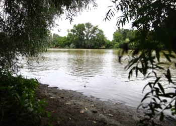 Cenad va deveni o nouă atracție turistică a județului Timiș