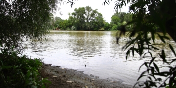 Cenad va deveni o nouă atracție turistică a județului Timiș