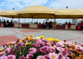 Producătorii agricoli locali din Nițchidorf au piață nouă