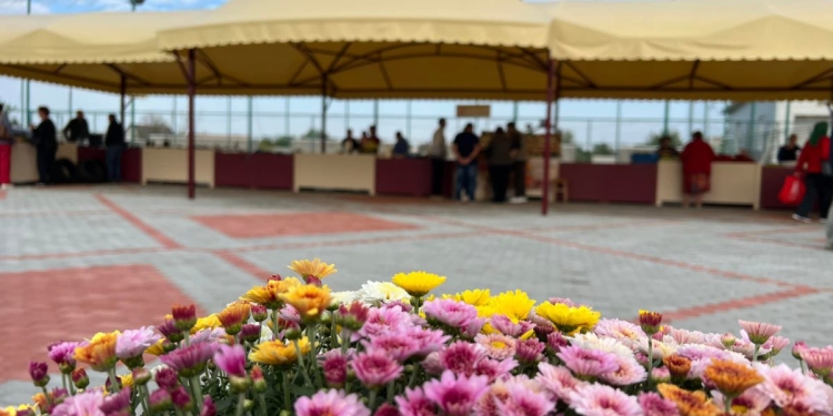 Producătorii agricoli locali din Nițchidorf au piață nouă