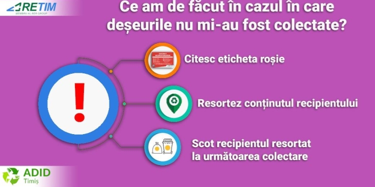 Ce trebuie să faci dacă deșeurile nu au fost colectate din fața casei? Ghidul RETIM are răspunsurile