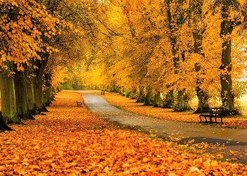 Vreme nebună în Banat, în următoarele două săptămâni