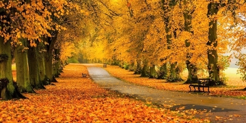 Vreme nebună în Banat, în următoarele două săptămâni