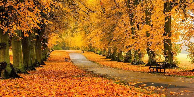 Vreme nebună în Banat, în următoarele două săptămâni