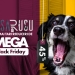Casa Rusu nu are Black Friday. Are MEGA BLACK FRIDAY!
