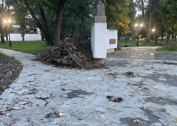 Bustul lui Brătianu, loc de ascuns mizeria! Parcul din Timișoara care-i poartă numele, pericol public