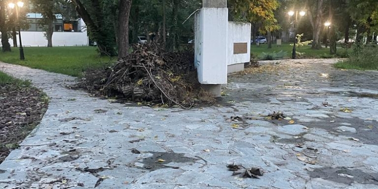 Bustul lui Brătianu, loc de ascuns mizeria! Parcul din Timișoara care-i poartă numele, pericol public