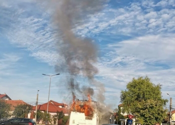 Toate troleibuzele, atent verificate de STPT