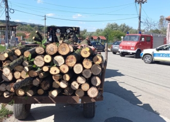 Mașini confiscate, sancțiuni și amenzi uriașe pentru transportul ilegal de lemne