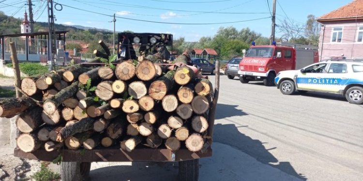 Mașini confiscate, sancțiuni și amenzi uriașe pentru transportul ilegal de lemne