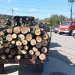 Mașini confiscate, sancțiuni și amenzi uriașe pentru transportul ilegal de lemne