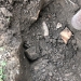A săpat după cartofi și a dat de o bombă! Descoperirea unui agricultor din vestul țării a alertat pompierii