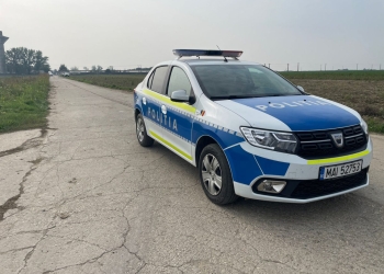 Ferma de la Parța, unde a fost depistată pesta porcină, a fost izolată! Poliția stă la intrarea în incintă