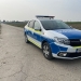 Ferma de la Parța, unde a fost depistată pesta porcină, a fost izolată! Poliția stă la intrarea în incintă
