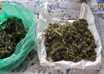 VIDEO 400 de grame de cocaină, 30 de grame de ciuperci halucinogene, 44 de telefoane mobile, 2 pistoale. Ce au găsit procurorii în urma mai multor descinderi