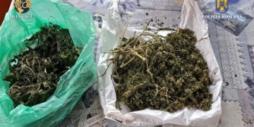 VIDEO 400 de grame de cocaină, 30 de grame de ciuperci halucinogene, 44 de telefoane mobile, 2 pistoale. Ce au găsit procurorii în urma mai multor descinderi