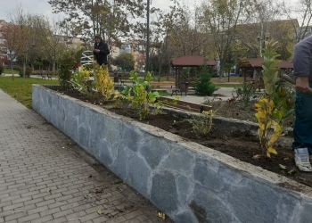 Feerie de culori la Timișoara! A început sădirea de noi arbori și plante