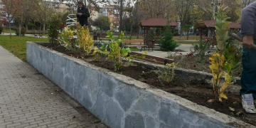 Feerie de culori la Timișoara! A început sădirea de noi arbori și plante