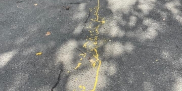 Nicolae Robu: „În loc de Orăvitzan sau Rață, vedem arta epocii…fritziste!” Fostul edil, revoltat de lucrările de artă stradală