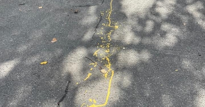 Nicolae Robu: „În loc de Orăvitzan sau Rață, vedem arta epocii…fritziste!” Fostul edil, revoltat de lucrările de artă stradală