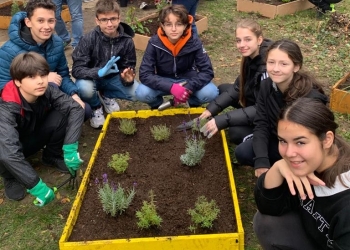 Inedit! Un liceu din Timișoara are o grădină educațională în curte