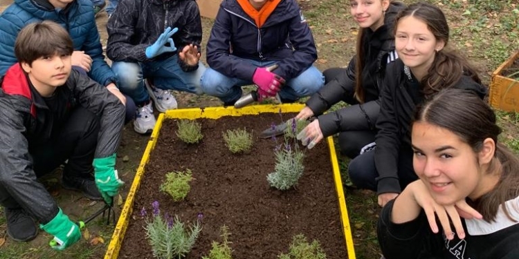 Inedit! Un liceu din Timișoara are o grădină educațională în curte