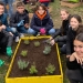 Inedit! Un liceu din Timișoara are o grădină educațională în curte