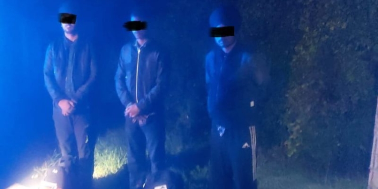 3 migranți din India care fugeau pe marginea unui drum reținuți de polițiști