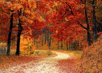 Ploile ocolesc Banatul. Prognoza meteo pentru următoarele două săptămâni