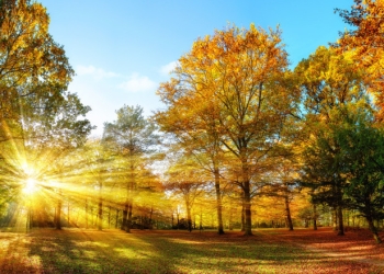 Sfârșit de octombrie cu vreme frumoasă în Banat. Vezi prognoza meteo