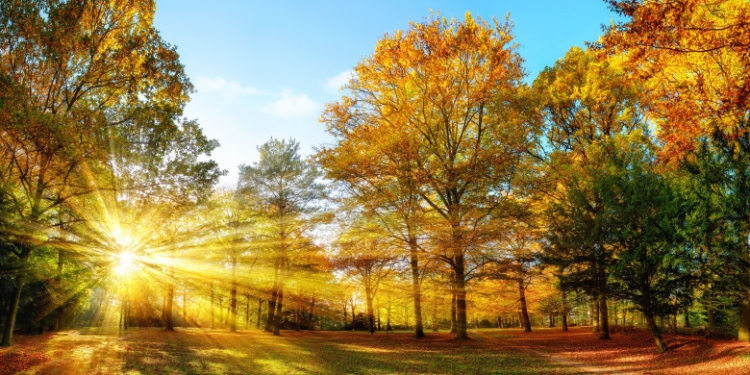 Sfârșit de octombrie cu vreme frumoasă în Banat. Vezi prognoza meteo