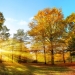 Sfârșit de octombrie cu vreme frumoasă în Banat. Vezi prognoza meteo