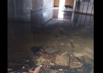 Scandalos! Două zone din centrul Timișoarei arată deplorabil