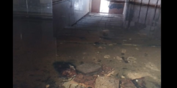 Scandalos! Două zone din centrul Timișoarei arată deplorabil