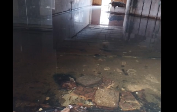 Scandalos! Două zone din centrul Timișoarei arată deplorabil