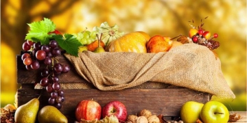 Vremea se încălzește în Banat. Prognoza meteo pentru următoarele două săptămâni