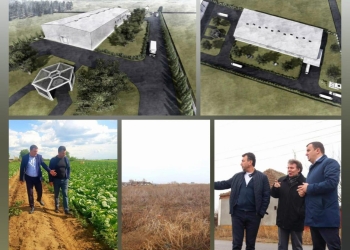 Centrul de legume-fructe de la Tomnatic, aprope de inaugurare