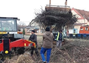 Curățenie în comuna Șag. Ultima zi de colectare a deșeurilor vegetale