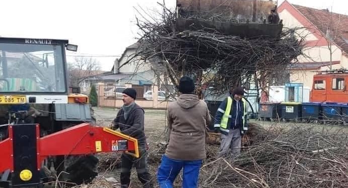 Curățenie în comuna Șag. Ultima zi de colectare a deșeurilor vegetale