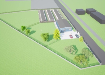 O comună de lângă Timișoara va avea adăpost pentru câinii fără stăpân