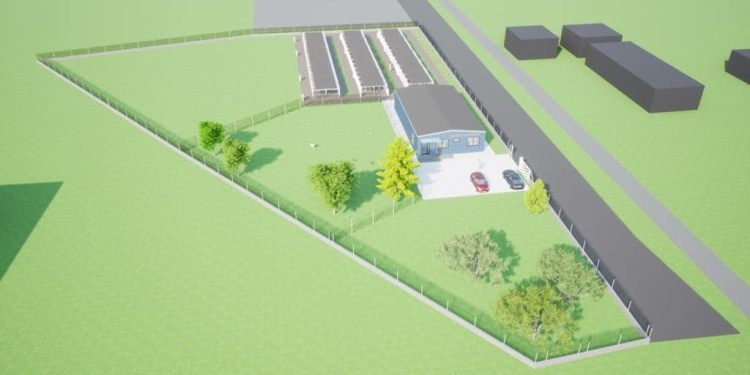 O comună de lângă Timișoara va avea adăpost pentru câinii fără stăpân