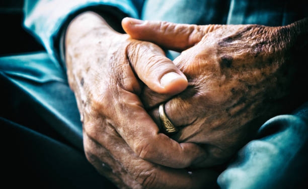 Azile cu probleme. Neregulile descoperite de DSP Timiș