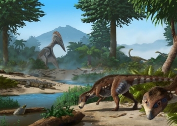 O nouă specie de dinozaur descoperită în Geoparcul Internațional UNESCO Țara Hațegului