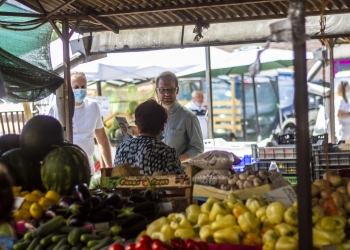 Fritz, chemat la Poliție pentru a explica cum o useristă a ajuns șefă la Piețe SA