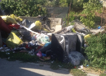 Sute de rampe ilegale de gunoaie, curățate de Primăria Timișoara