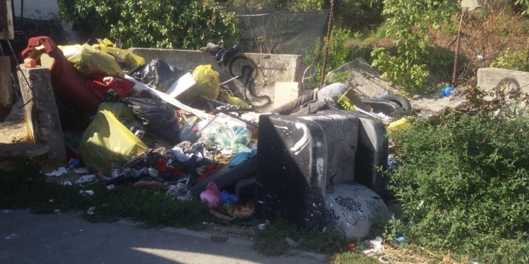 Sute de rampe ilegale de gunoaie, curățate de Primăria Timișoara