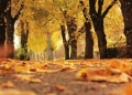 Scad temperaturile în Banat. Prognoza meteo pentru următoarele două săptămâni
